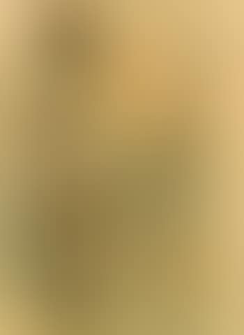 Standing female nude (preview)