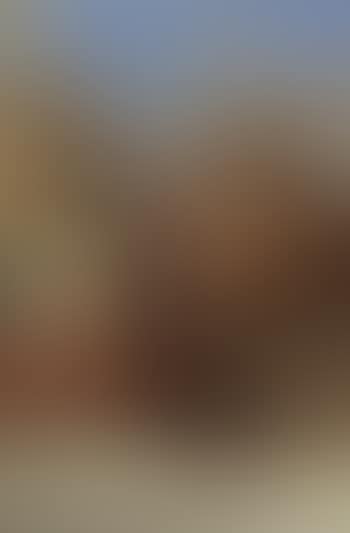 Sine Baccho et Cerere friget Venus (preview)