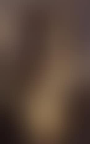 Torso (preview)