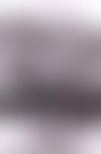 Suisse (preview)