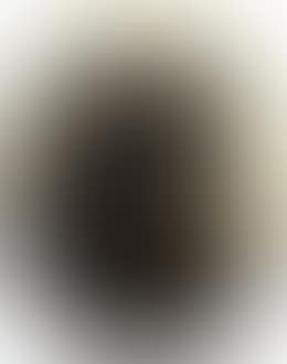 Black dog (preview)