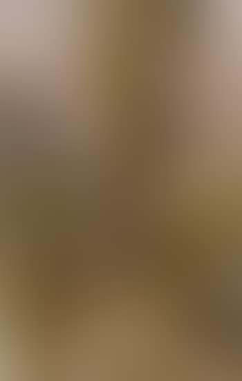 Mountainous landscape (preview)