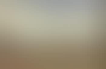 Paysage (preview)