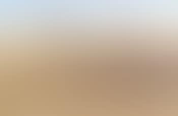 Wimmera landscape with homestead (preview)