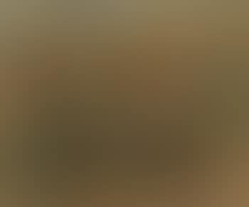 Landscape (preview)