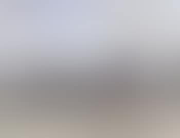Cattle grazing (preview)