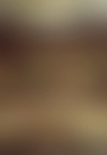 Paysage (preview)