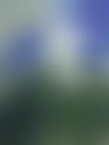 Paysage (preview)