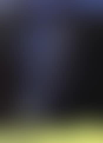 T1963-R12 (preview)