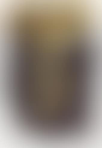 Figure (preview)