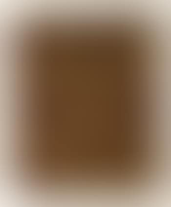 Exposition Vallauris (preview)
