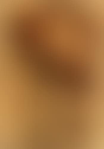 Pan seller (preview)