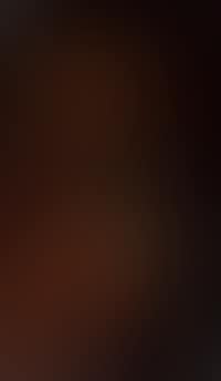 Portrait eines Orientalen (preview)