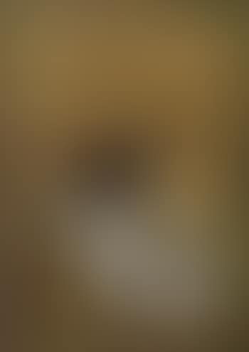 Woman and tiger facing right (preview)