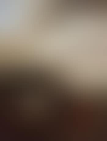 Man on a white horse conversing with a woman and children (preview)
