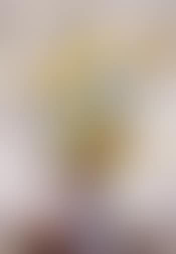 Yellow tulips (preview)