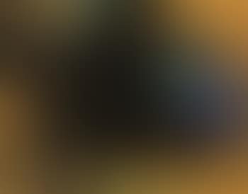 Landscape (preview)