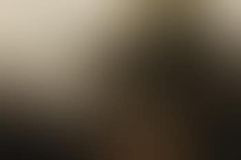 Blick ins Rheintal (preview)