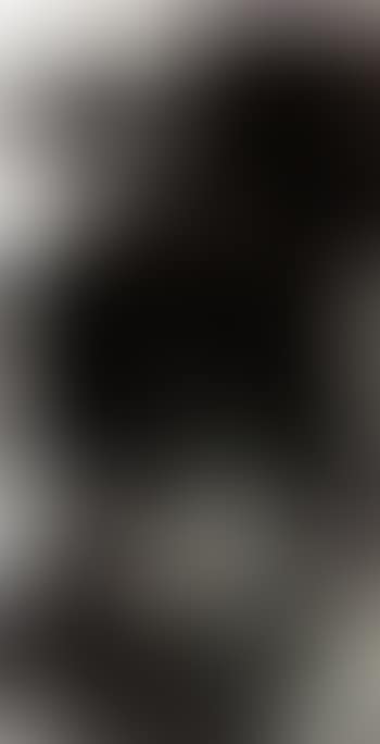 Lotus (preview)