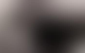 Landscape (preview)