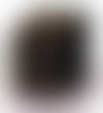 Portrait de compression (preview)