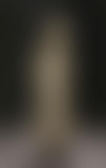 Figure (preview)