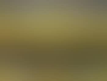 Sunset, Skagen (preview)
