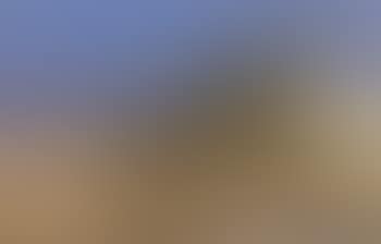 Dune landscape, Skagen (preview)