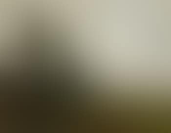 Road through landscape (preview)