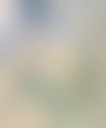 Universum (preview)