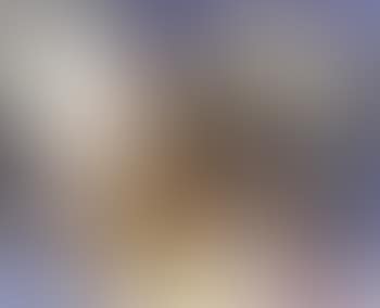 Composition (preview)