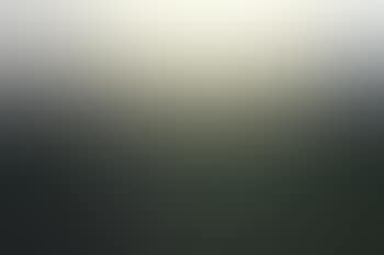 Landscape (preview)