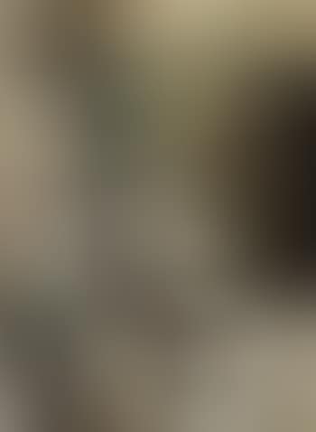 Composition (preview)