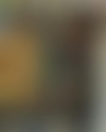 Frisure (preview)