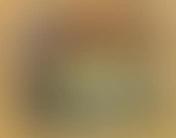 Composition (preview)