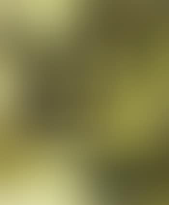 Composition (preview)