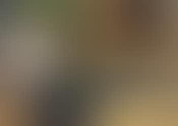 Seated woman seen from behind (preview)