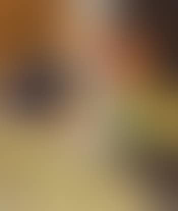 Still life of fruit, plant and other objects (preview)