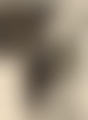 Rayograph - nude with vapour (preview)