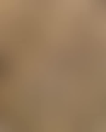 Recurrence (preview)