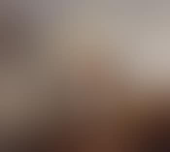 Man leading grey horse (preview)