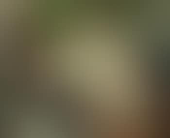 Nude (preview)