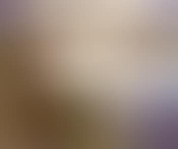 Landscape (preview)