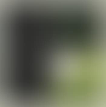 Green construction (preview)