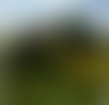 Richmond Hill, London (preview)