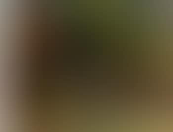 Epping Forest (preview)
