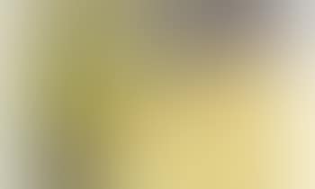 Paysage (preview)