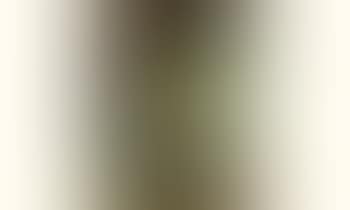 Fillette a la robe blanche (preview)