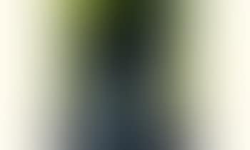 Petit portrait sur fond jaune (preview)