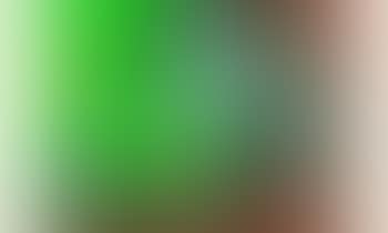 Composition (preview)